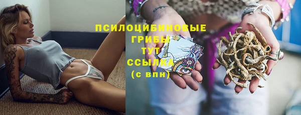 МДМА Белокуриха